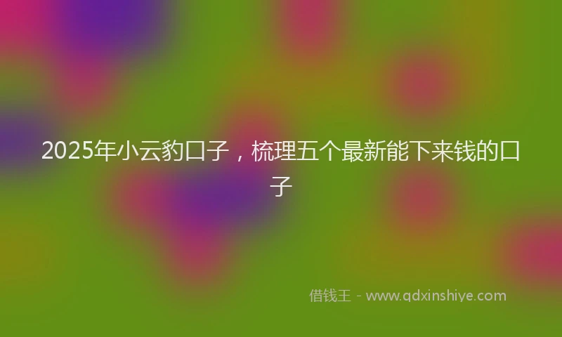 2025年小云豹口子，梳理五个最新能下来钱的口子