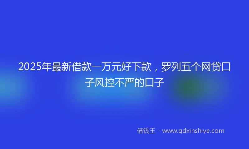 2025年最新借款一万元好下款，罗列五个网贷口子风控不严的口子