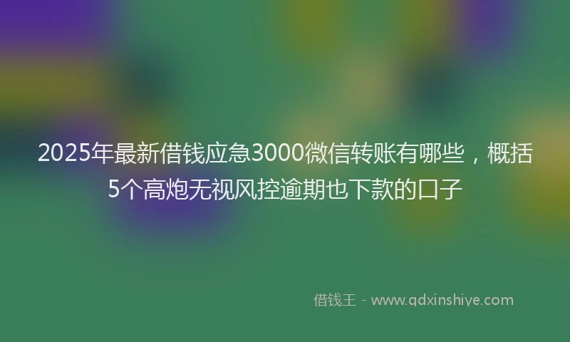 2025年最新借钱应急3000微信转账有哪些，概括5个高炮无视风控逾期也下款的口子