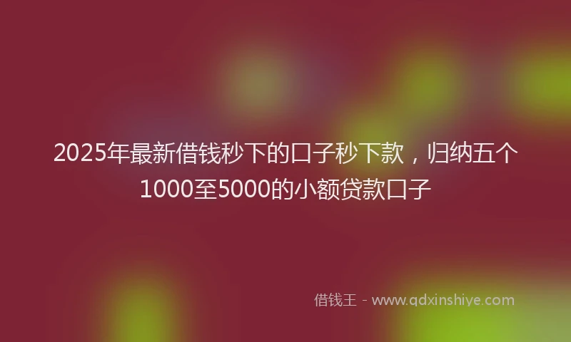 2025年最新借钱秒下的口子秒下款，归纳五个1000至5000的小额贷款口子