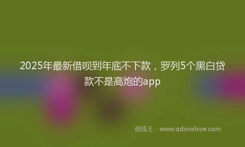 2025年最新借呗到年底不下款，罗列5个黑白贷款不是高炮的app