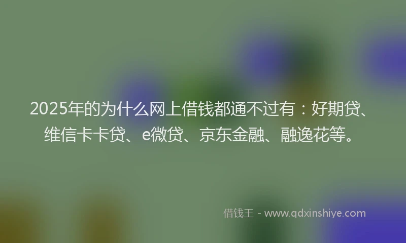 2025年的为什么网上借钱都通不过有：好期贷、维信卡卡贷、e微贷、京东金融、融逸花等。