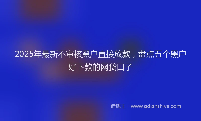 2025年最新不审核黑户直接放款，盘点五个黑户好下款的网贷口子