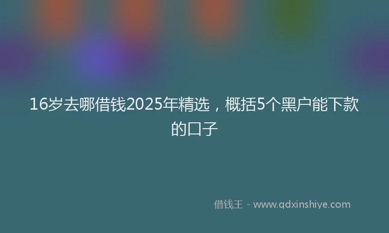 16岁去哪借钱2025年精选，概括5个黑户能下款的口子