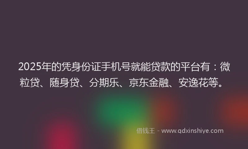 2025年的凭身份证手机号就能贷款的平台有：微粒贷、随身贷、分期乐、京东金融、安逸花等。
