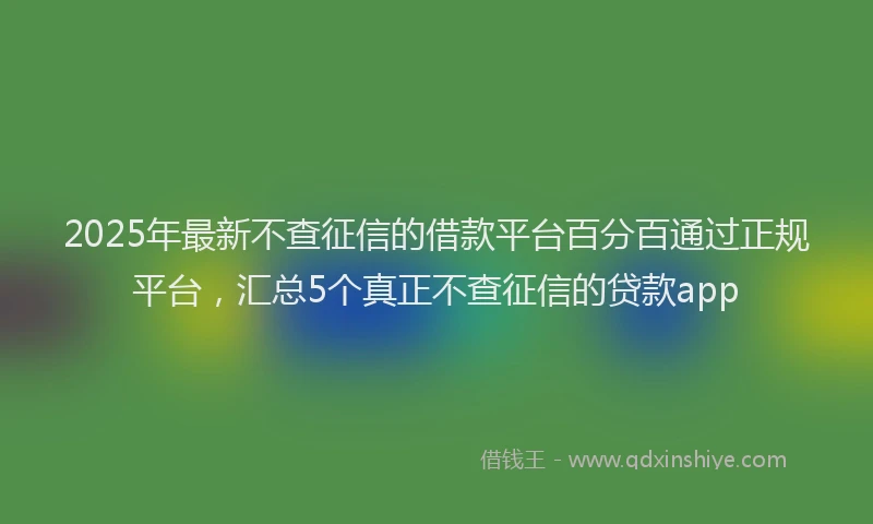 2025年最新不查征信的借款平台百分百通过正规平台，汇总5个真正不查征信的贷款app