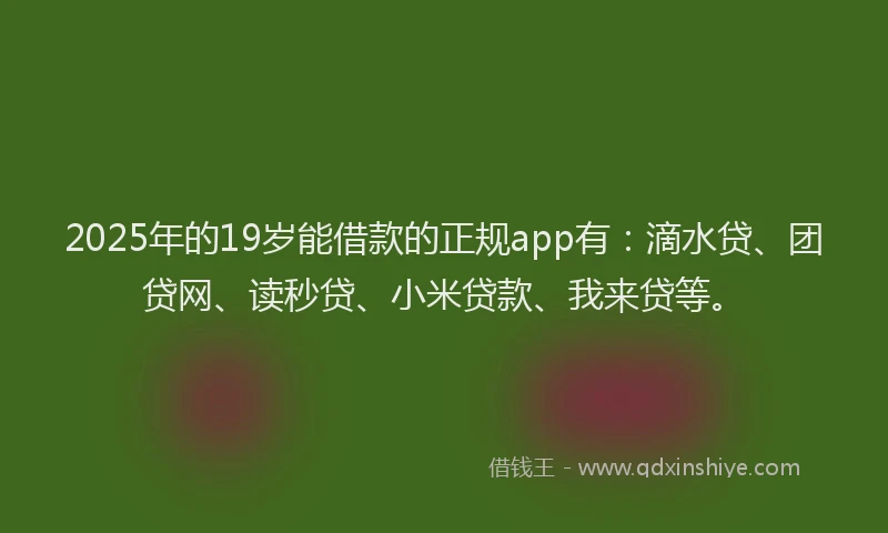 2025年的19岁能借款的正规app有：滴水贷、团贷网、读秒贷、小米贷款、我来贷等。