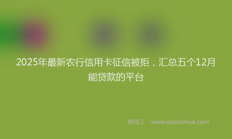 2025年最新农行信用卡征信被拒，汇总五个12月能贷款的平台