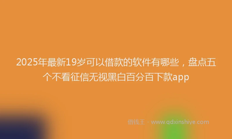 2025年最新19岁可以借款的软件有哪些，盘点五个不看征信无视黑白百分百下款app