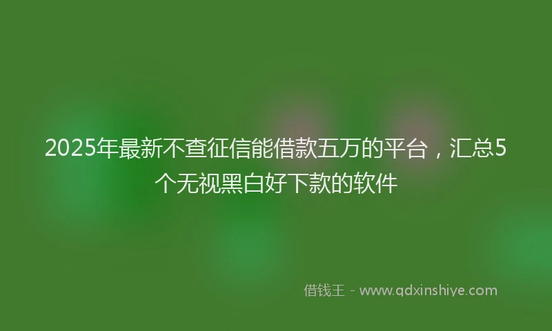2025年最新不查征信能借款五万的平台，汇总5个无视黑白好下款的软件