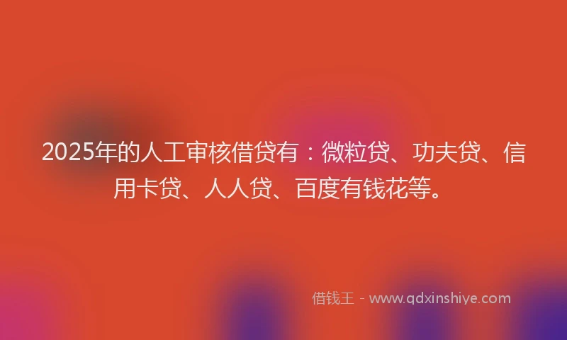 2025年的人工审核借贷有：微粒贷、功夫贷、信用卡贷、人人贷、百度有钱花等。