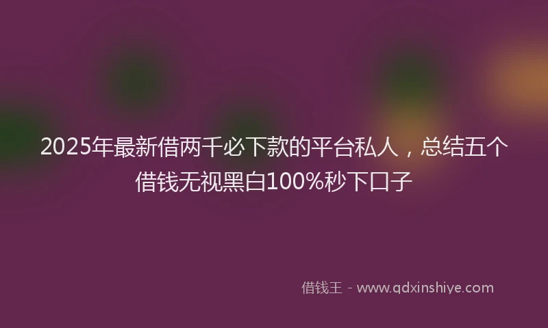 2025年最新借两千必下款的平台私人，总结五个借钱无视黑白100%秒下口子