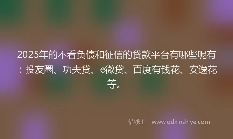 2025年的不看负债和征信的贷款平台有哪些呢有：投友圈、功夫贷、e微贷、百度有钱花、安逸花等。