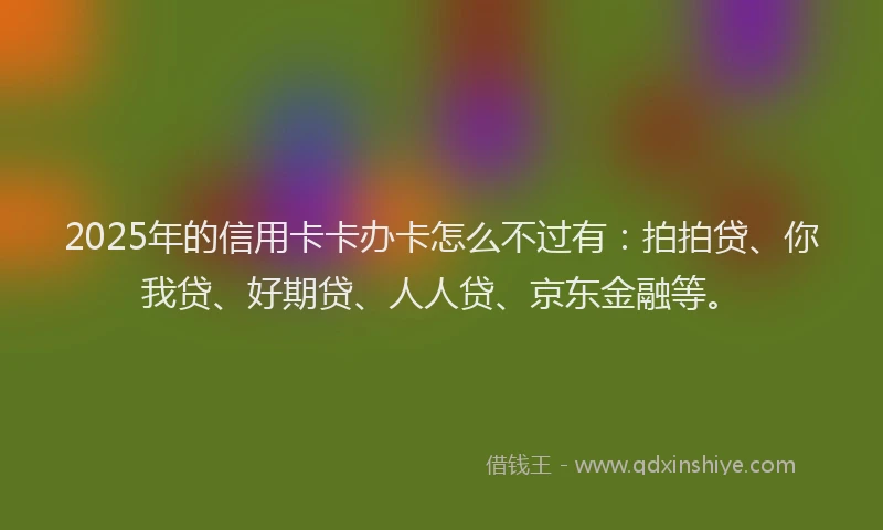 2025年的信用卡卡办卡怎么不过有：拍拍贷、你我贷、好期贷、人人贷、京东金融等。