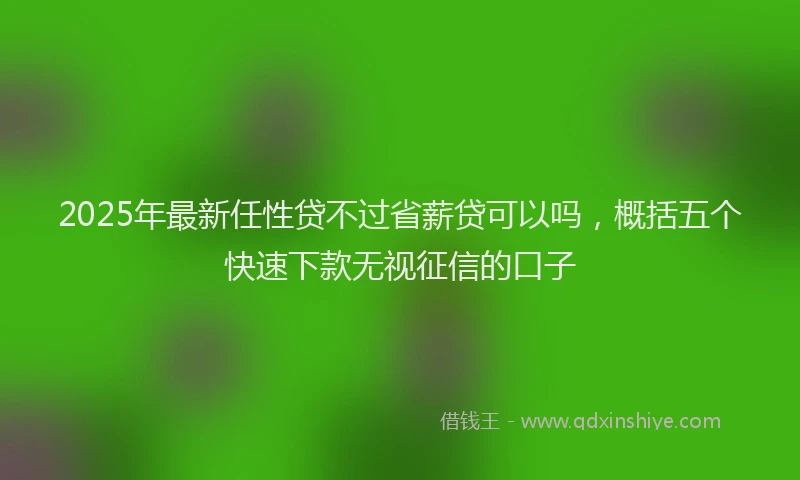 2025年最新任性贷不过省薪贷可以吗，概括五个快速下款无视征信的口子