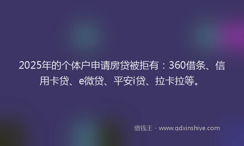 2025年的个体户申请房贷被拒有：360借条、信用卡贷、e微贷、平安i贷、拉卡拉等。