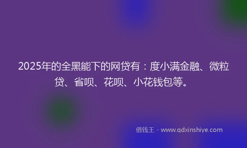 2025年的全黑能下的网贷有：度小满金融、微粒贷、省呗、花呗、小花钱包等。