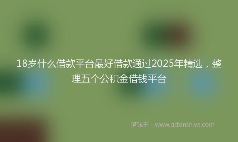18岁什么借款平台最好借款通过2025年精选，整理五个公积金借钱平台