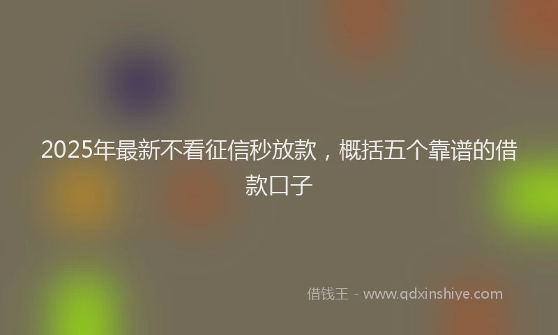 2025年最新不看征信秒放款，概括五个靠谱的借款口子