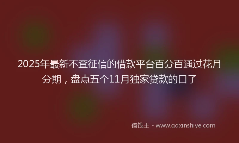 2025年最新不查征信的借款平台百分百通过花月分期，盘点五个11月独家贷款的口子