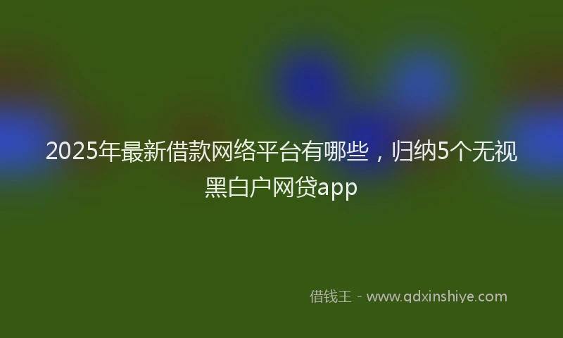 2025年最新借款网络平台有哪些，归纳5个无视黑白户网贷app