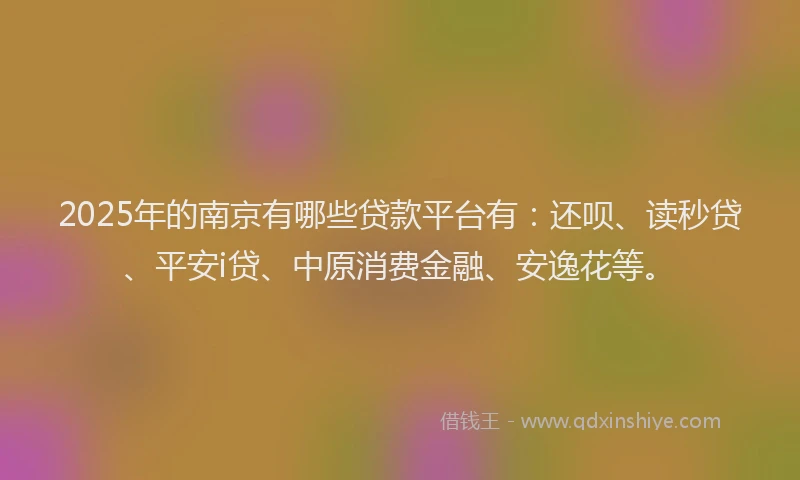 2025年的南京有哪些贷款平台有：还呗、读秒贷、平安i贷、中原消费金融、安逸花等。
