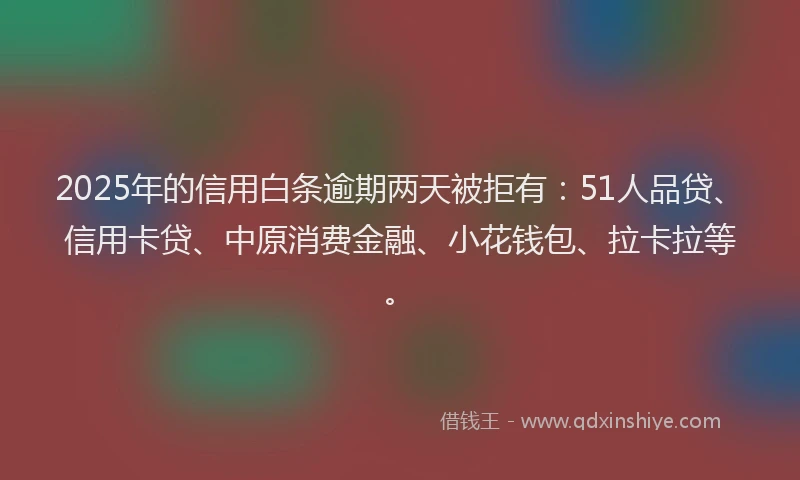 2025年的信用白条逾期两天被拒有：51人品贷、信用卡贷、中原消费金融、小花钱包、拉卡拉等。