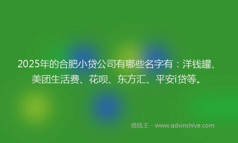 2025年的合肥小贷公司有哪些名字有：洋钱罐、美团生活费、花呗、东方汇、平安i贷等。