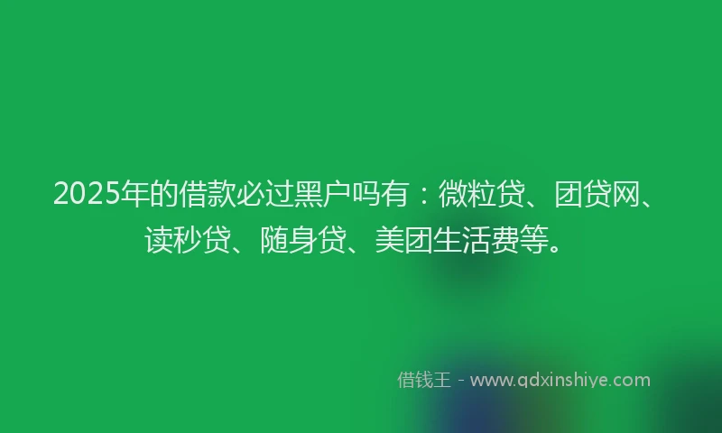 2025年的借款必过黑户吗有：微粒贷、团贷网、读秒贷、随身贷、美团生活费等。