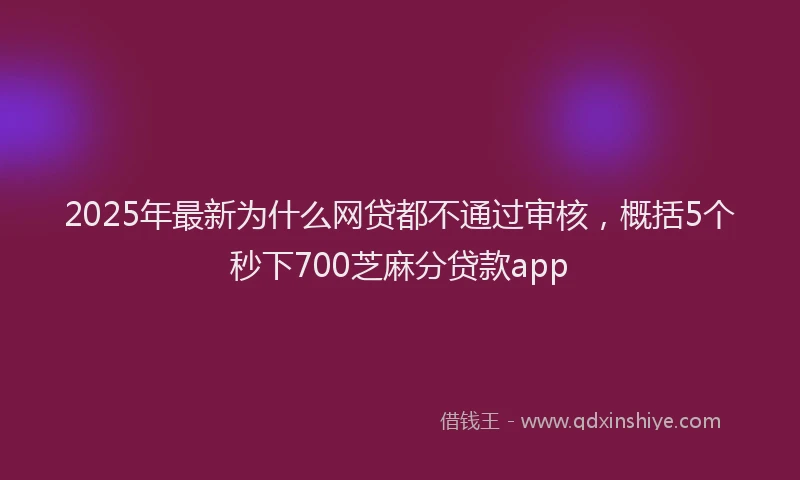 2025年最新为什么网贷都不通过审核，概括5个秒下700芝麻分贷款app