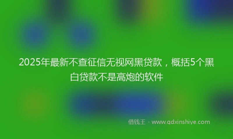 2025年最新不查征信无视网黑贷款，概括5个黑白贷款不是高炮的软件