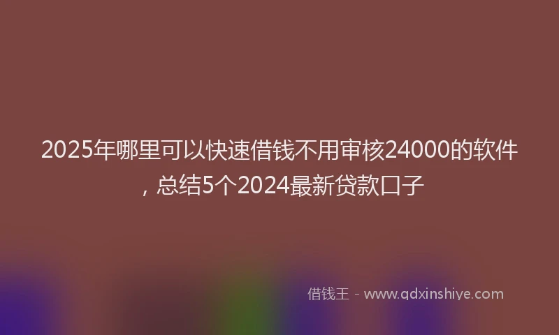 2025年哪里可以快速借钱不用审核24000的软件，总结5个2024最新贷款口子