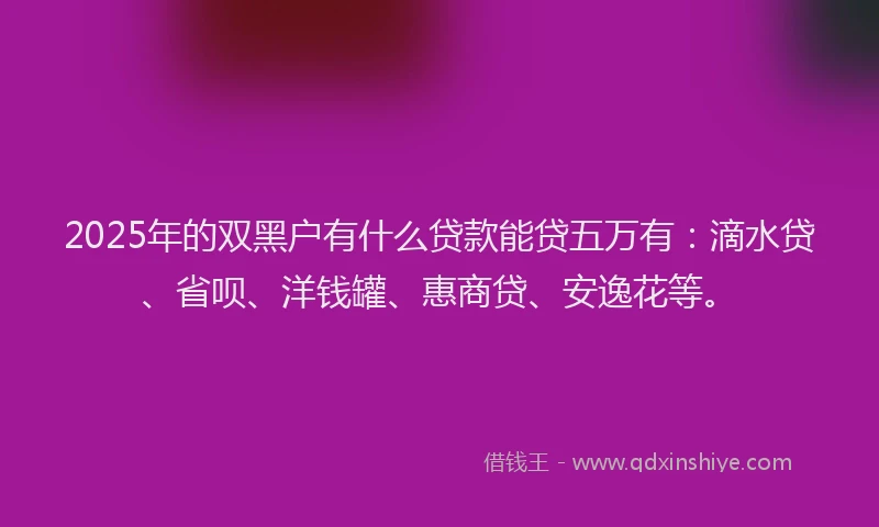2025年的双黑户有什么贷款能贷五万有：滴水贷、省呗、洋钱罐、惠商贷、安逸花等。