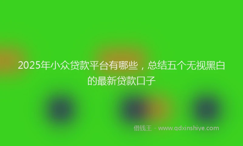 2025年小众贷款平台有哪些，总结五个无视黑白的最新贷款口子