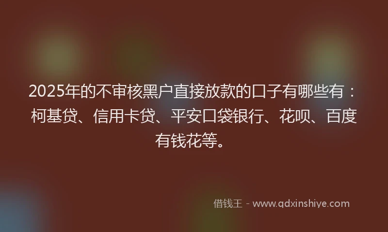 2025年的不审核黑户直接放款的口子有哪些有：柯基贷、信用卡贷、平安口袋银行、花呗、百度有钱花等。