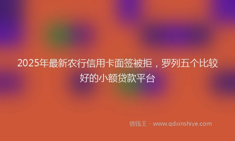 2025年最新农行信用卡面签被拒，罗列五个比较好的小额贷款平台