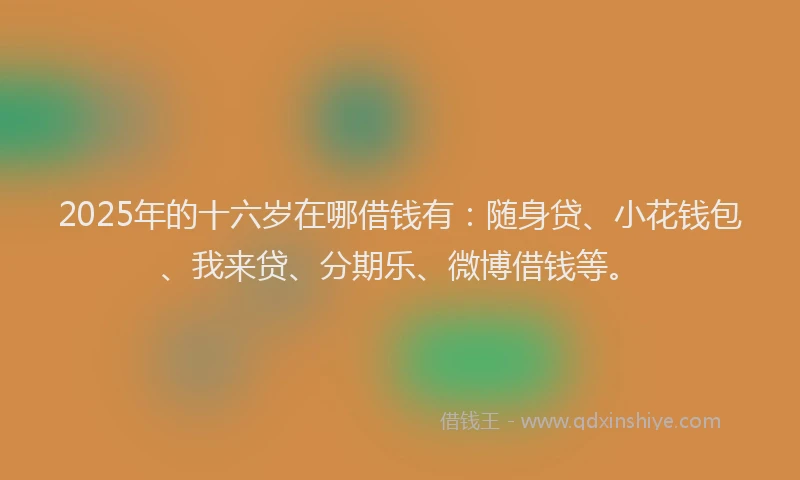 2025年的十六岁在哪借钱有：随身贷、小花钱包、我来贷、分期乐、微博借钱等。