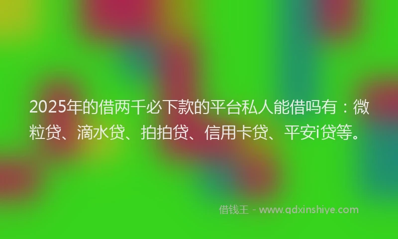 2025年的借两千必下款的平台私人能借吗有：微粒贷、滴水贷、拍拍贷、信用卡贷、平安i贷等。