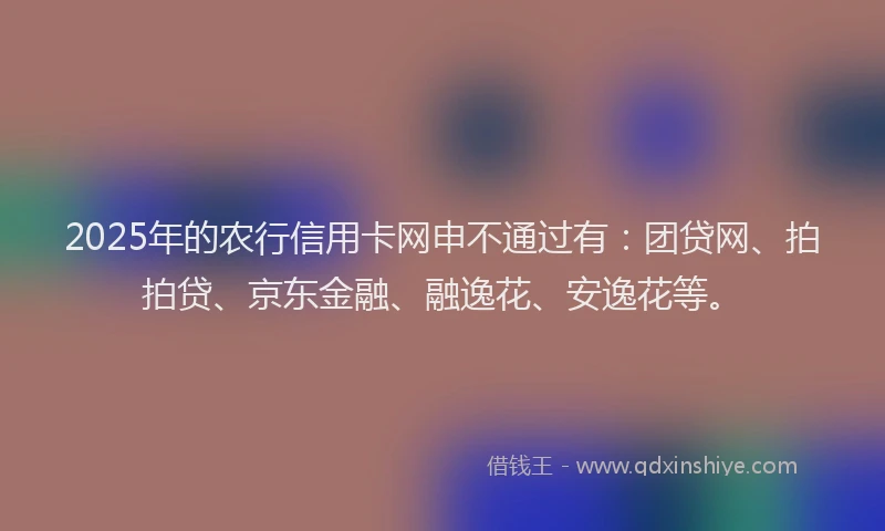 2025年的农行信用卡网申不通过有：团贷网、拍拍贷、京东金融、融逸花、安逸花等。