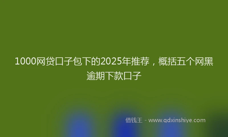 1000网贷口子包下的2025年推荐，概括五个网黑逾期下款口子