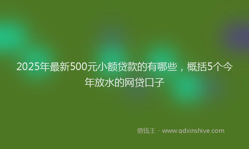 2025年最新500元小额贷款的有哪些，概括5个今年放水的网贷口子