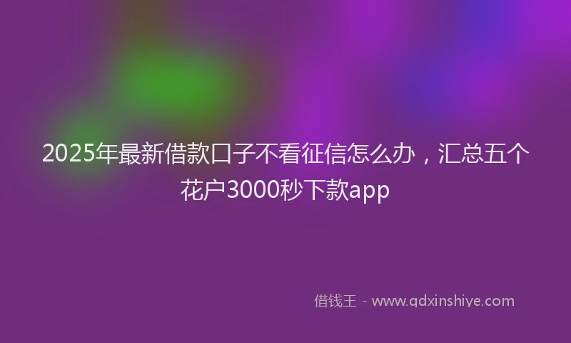 2025年最新借款口子不看征信怎么办，汇总五个花户3000秒下款app