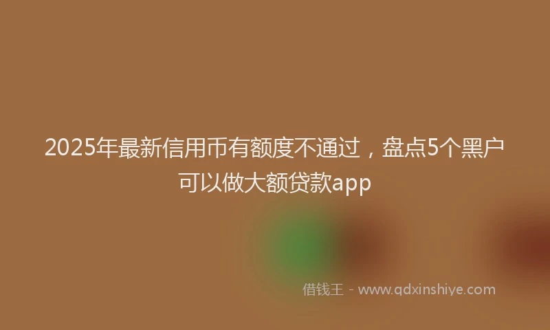2025年最新信用币有额度不通过，盘点5个黑户可以做大额贷款app