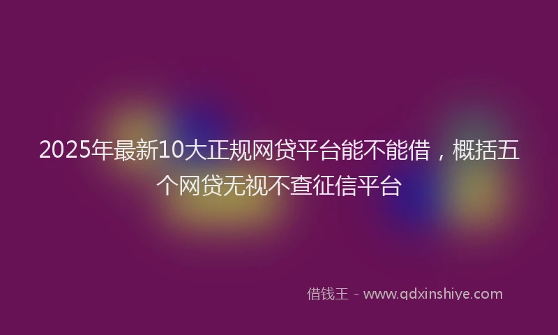 2025年最新10大正规网贷平台能不能借，概括五个网贷无视不查征信平台