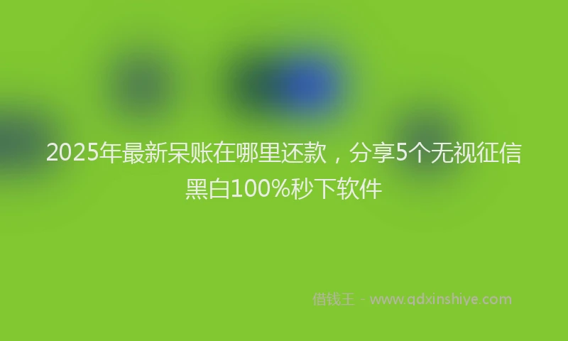 2025年最新呆账在哪里还款，分享5个无视征信黑白100%秒下软件