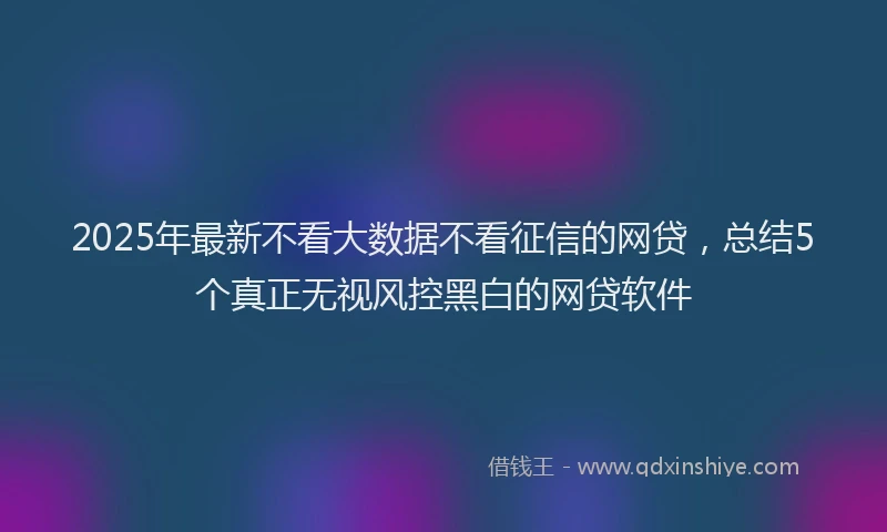 2025年最新不看大数据不看征信的网贷，总结5个真正无视风控黑白的网贷软件