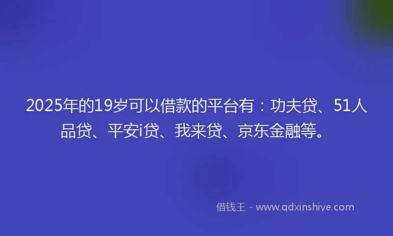 2025年的19岁可以借款的平台有：功夫贷、51人品贷、平安i贷、我来贷、京东金融等。