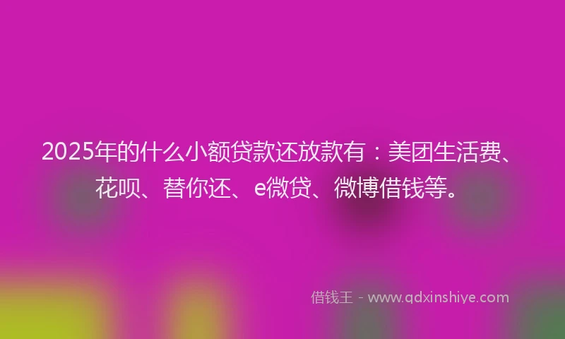 2025年的什么小额贷款还放款有：美团生活费、花呗、替你还、e微贷、微博借钱等。