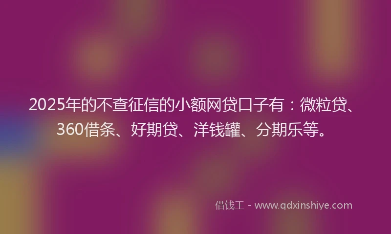 2025年的不查征信的小额网贷口子有：微粒贷、360借条、好期贷、洋钱罐、分期乐等。