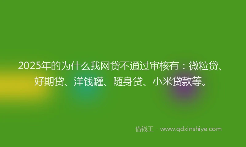 2025年的为什么我网贷不通过审核有：微粒贷、好期贷、洋钱罐、随身贷、小米贷款等。